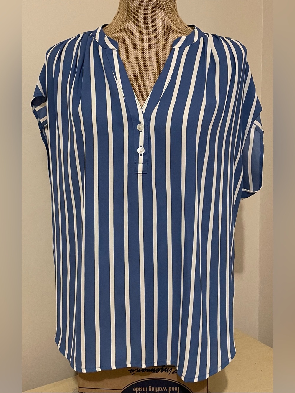 Banana Republic Blue and White Vertical Stripe Henley Blouse